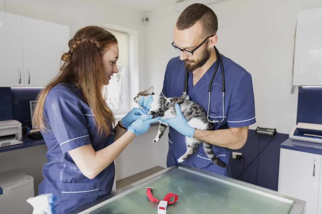 Pet Insurance: What It Is and Why Pet Owners Ought to Consider It