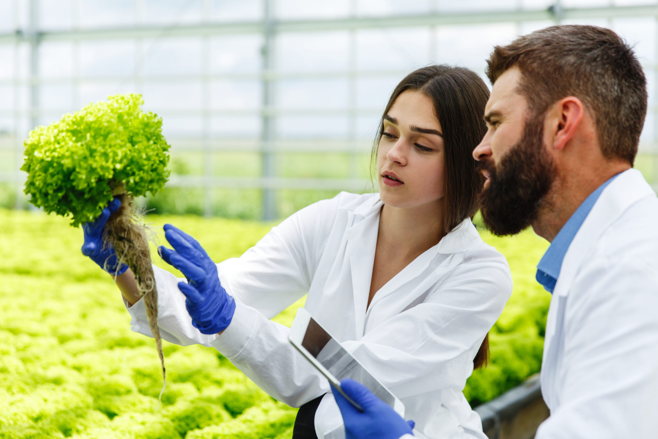 Agriculture Insurance